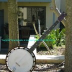 Is the Standard Banjo Better?